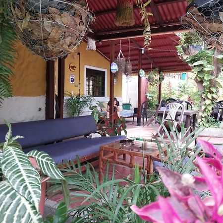 Mi Refugio Tayrona Ξενοδοχείο Σάντα Μάρτα Εξωτερικό φωτογραφία