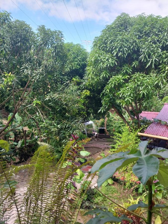 Mi Refugio Tayrona Ξενοδοχείο Σάντα Μάρτα Εξωτερικό φωτογραφία