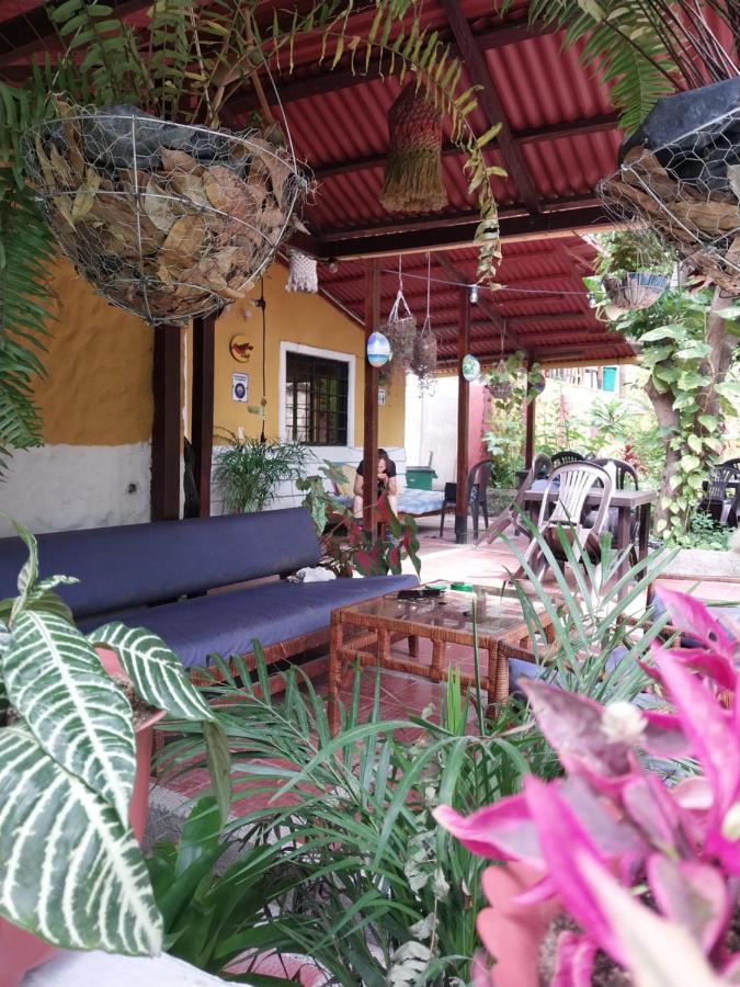 Mi Refugio Tayrona Ξενοδοχείο Σάντα Μάρτα Εξωτερικό φωτογραφία